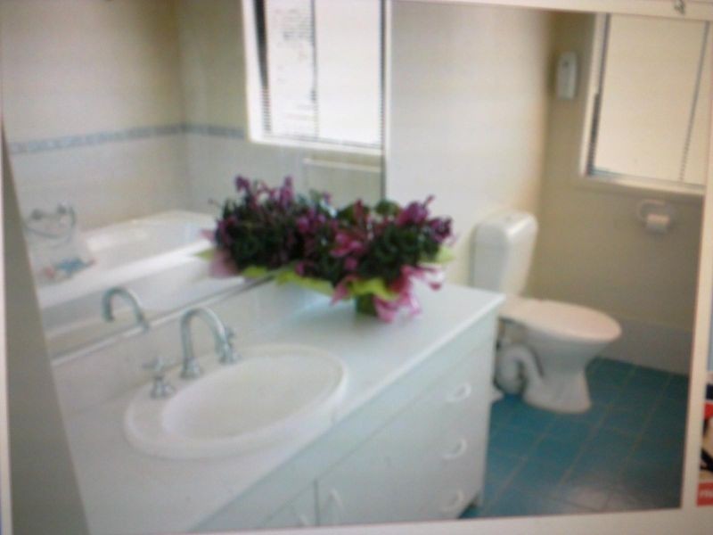 3 Mascord Avenue, Wadalba NSW 2259