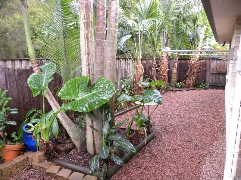 13 Matthew Circuit, Mardi NSW 2259