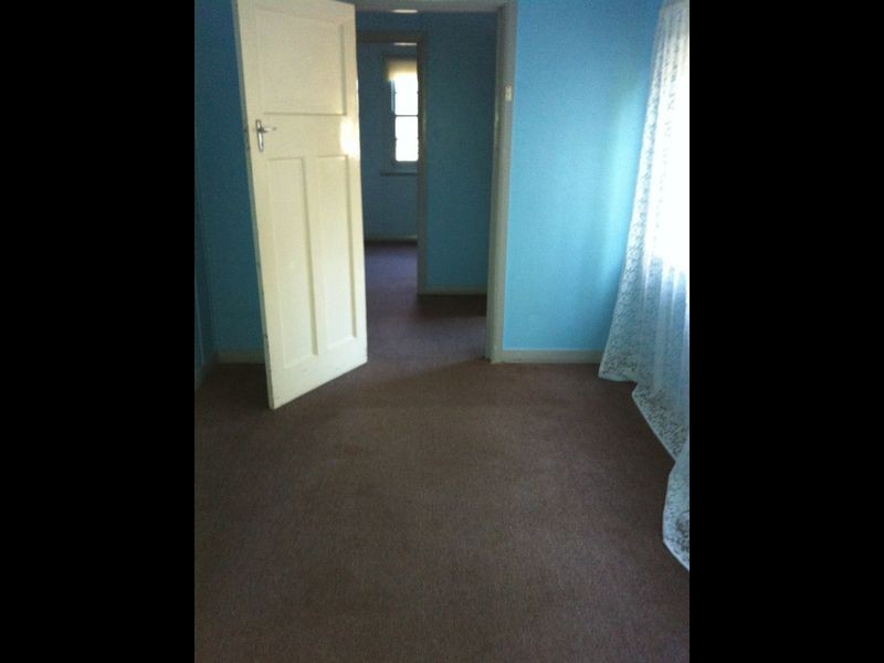 49 Hammond Road, Toukley NSW 2263