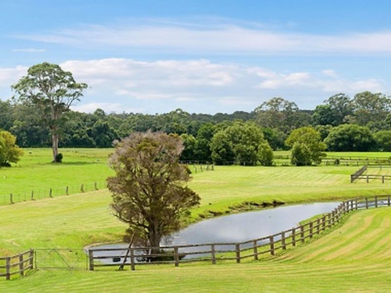 345 Jilliby Road, Jilliby NSW 2259