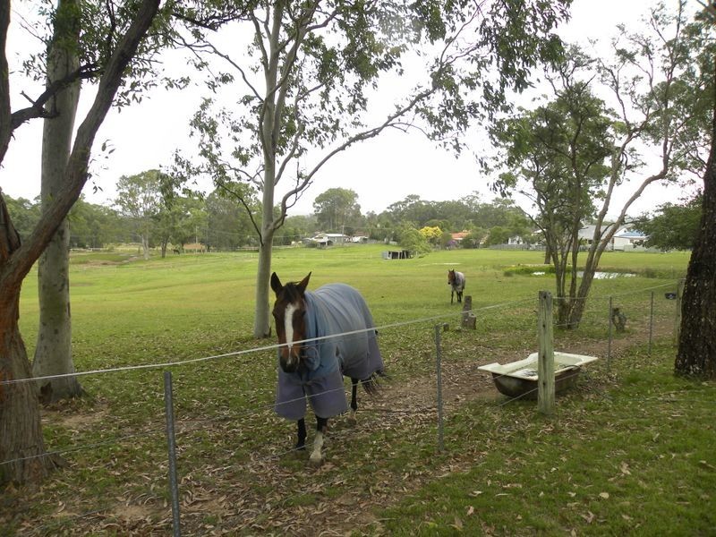 213 Pollock Avenue, Wyong NSW 2259