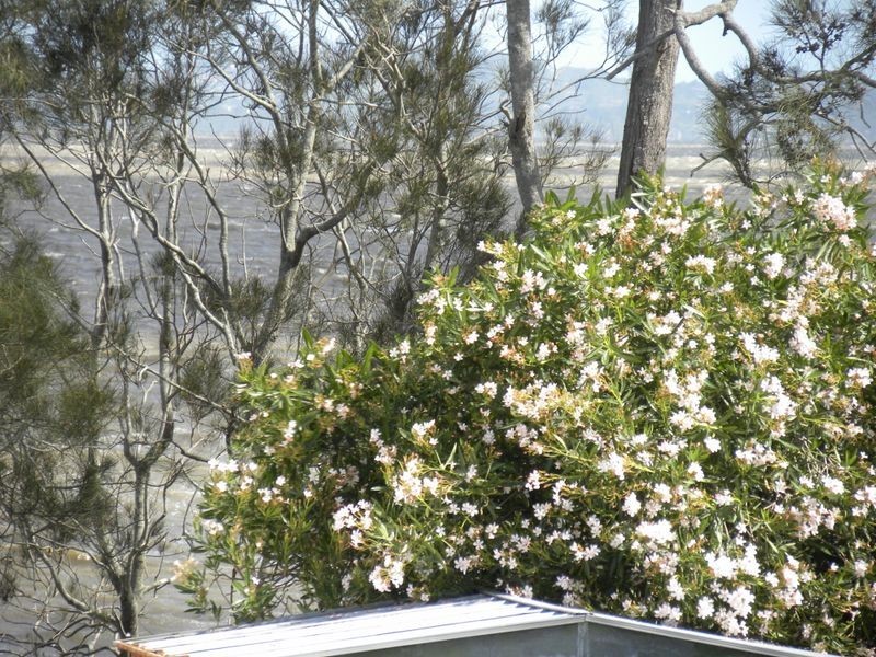 252 Tuggerawong Rd, Tuggerawong NSW 2259