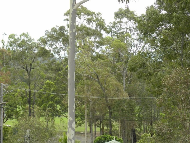 3 Ninian Close, Watanobbi NSW 2259