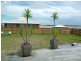 40 Beach Street, Harrington NSW 2427
