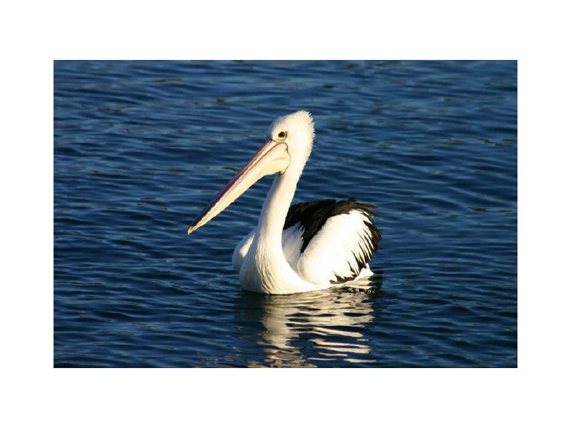 14 Duroby Street, Harrington NSW 2427