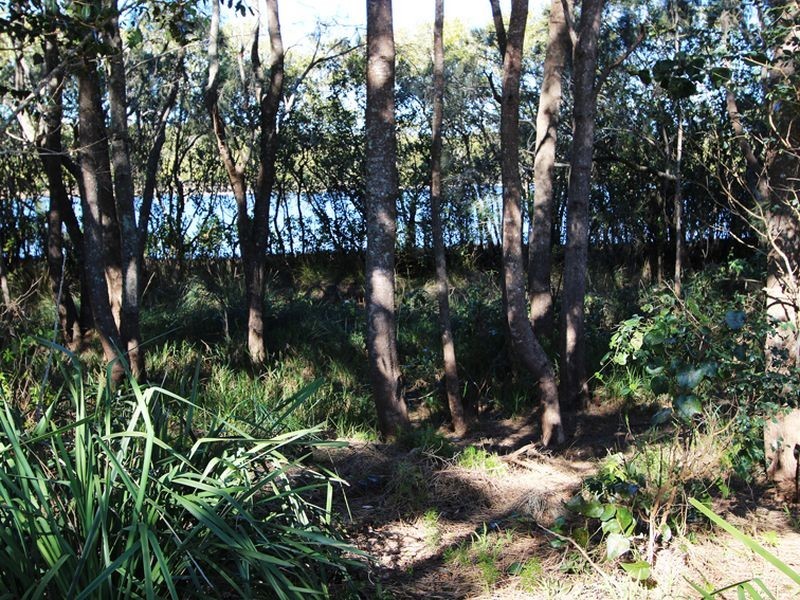 233 Beach Street, Harrington NSW 2427