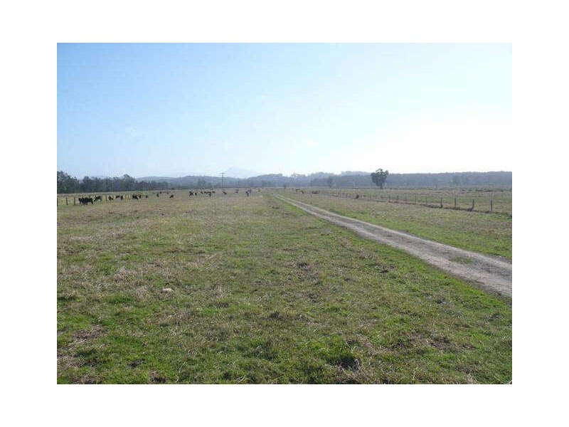 90 Harrington Road, Coopernook NSW 2426