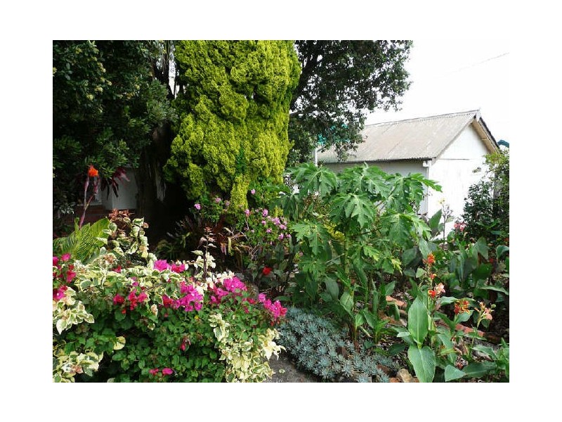 18 Church Street, Harrington NSW 2427