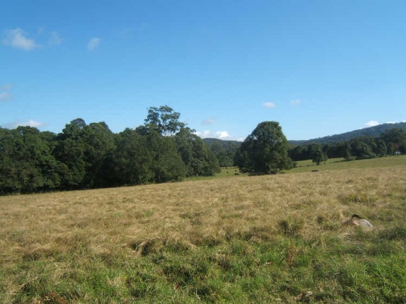 27 James Street, Moorland NSW 2443