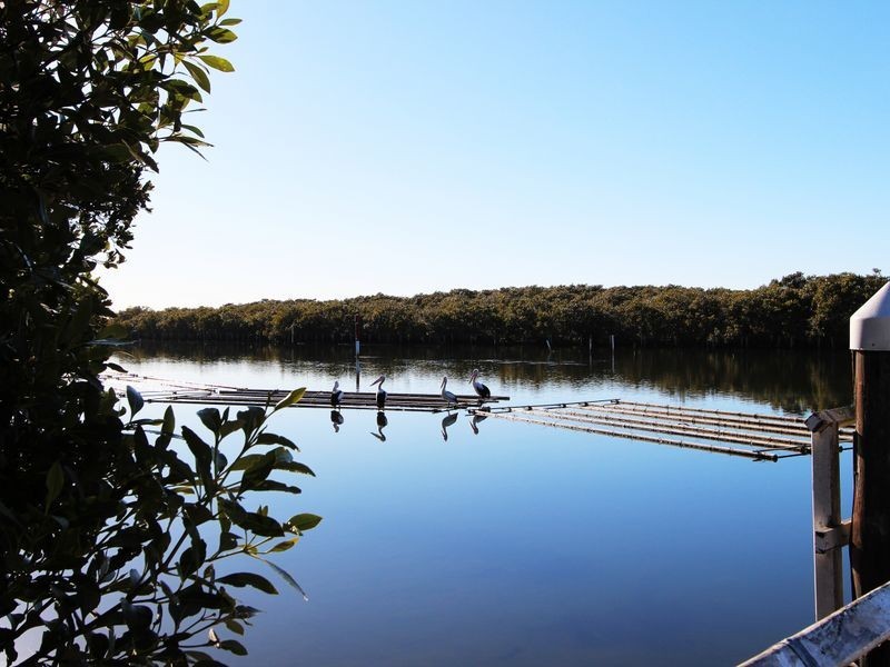 41 Diamantina Circuit, Harrington NSW 2427