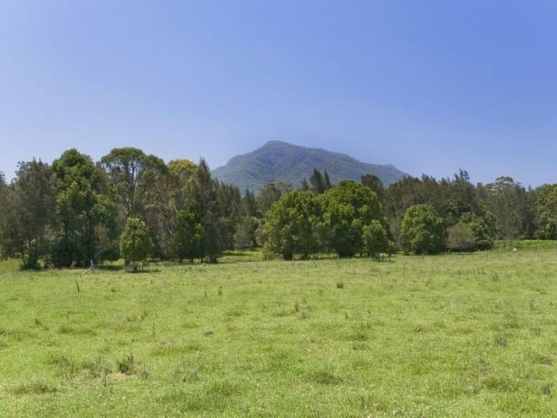 87 Henrys Lane, Moorland NSW 2443