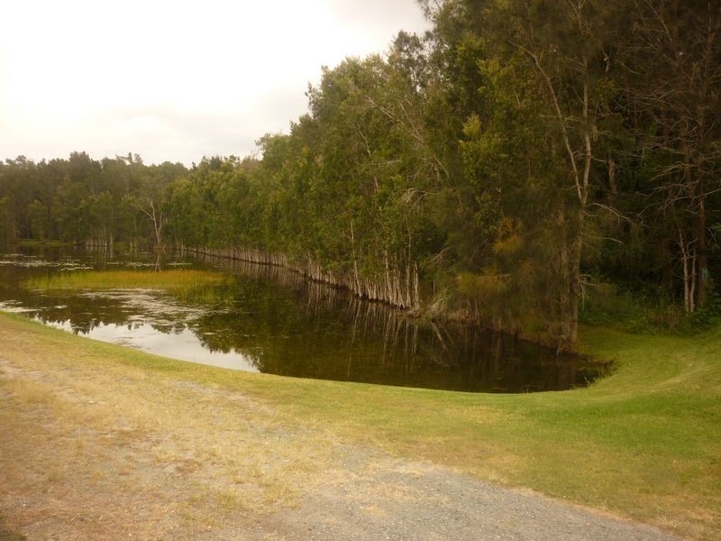 35 Hogan Street, Harrington NSW 2427