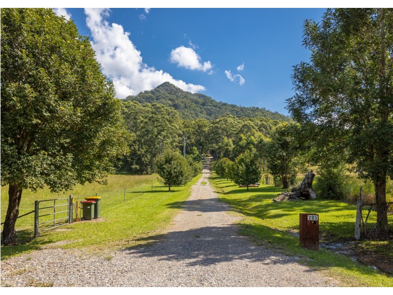 285 Riddles Brush Road, Johns River NSW 2443