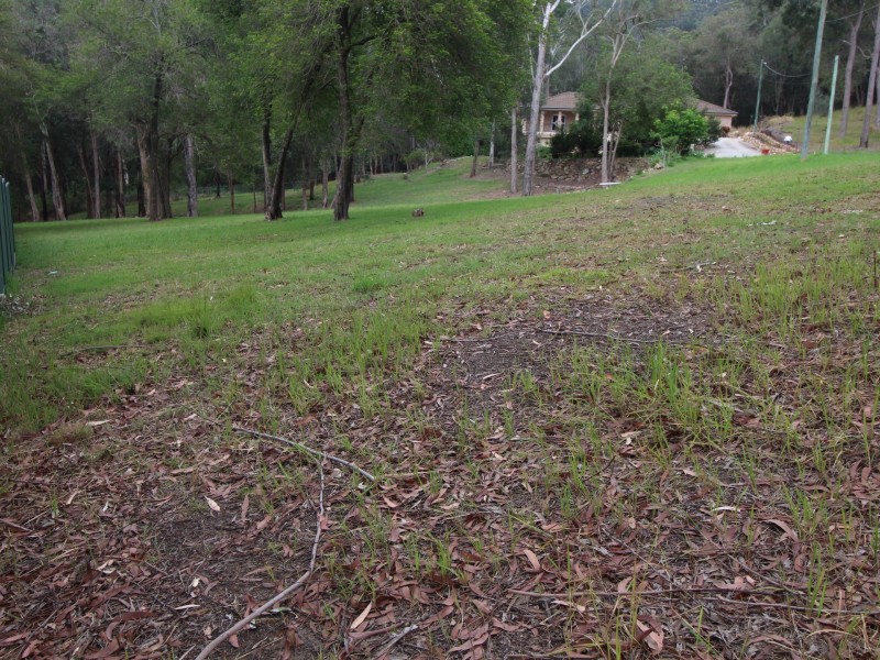 Lot 125/61 Marana Road, Springfield NSW 2250