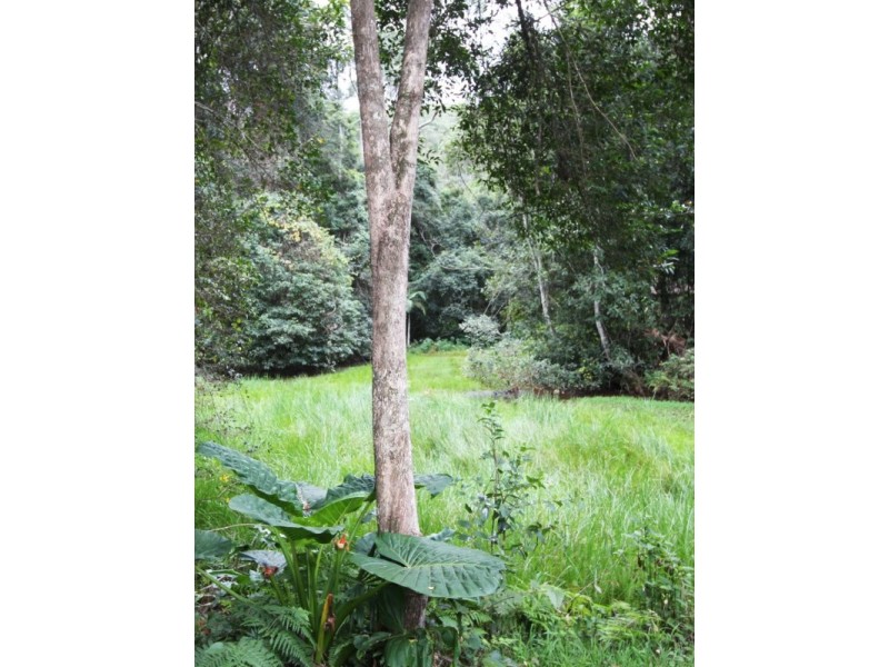 87A Picketts Valley Rd, Picketts Valley NSW 2251