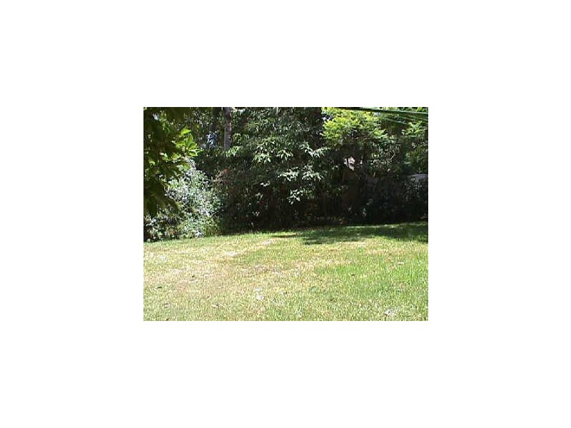 Green Point NSW 2251