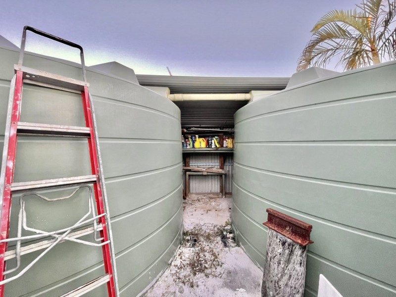 113 Wells Street, Springfield NSW 2250