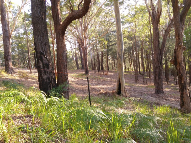 44 Marana Road, Springfield NSW 2250