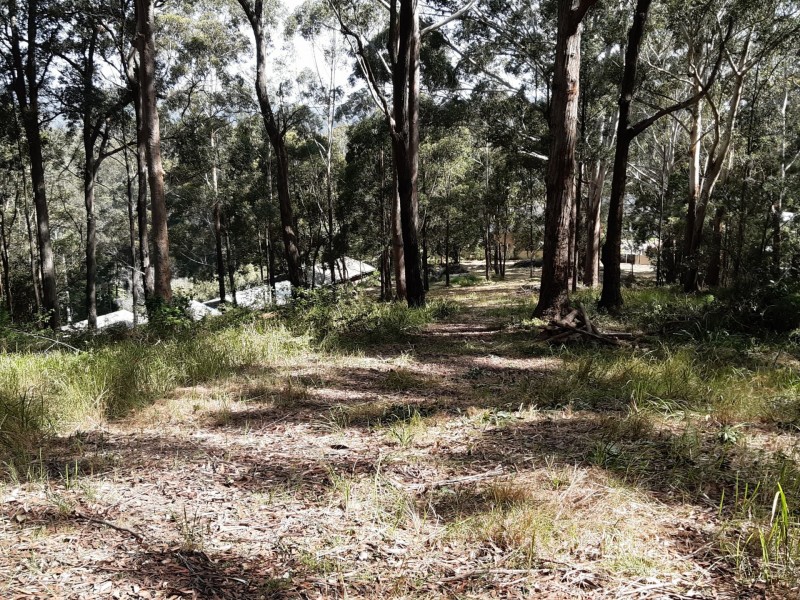 44 Marana Road, Springfield NSW 2250