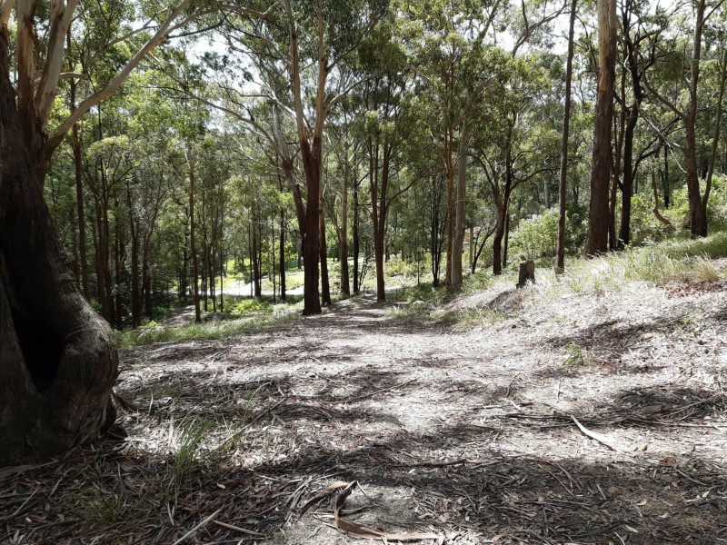 44 Marana Road, Springfield NSW 2250