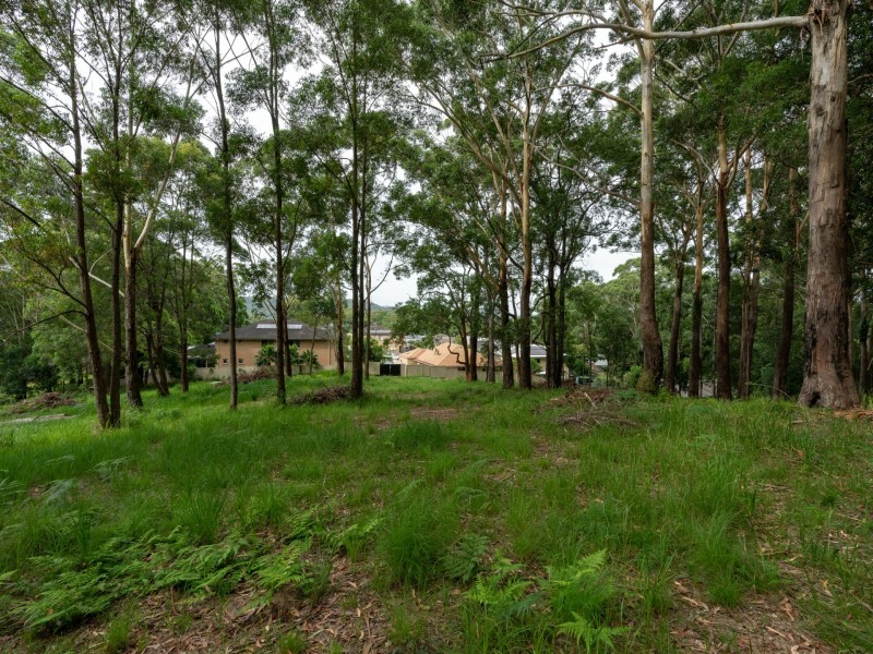 44 Marana Road, Springfield NSW 2250
