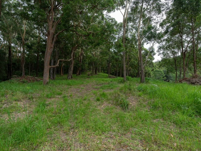 44 Marana Road, Springfield NSW 2250