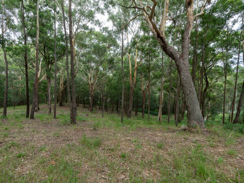 44 Marana Road, Springfield NSW 2250