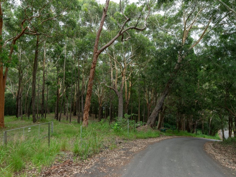 44 Marana Road, Springfield NSW 2250