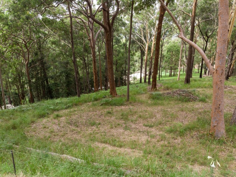 44 Marana Road, Springfield NSW 2250