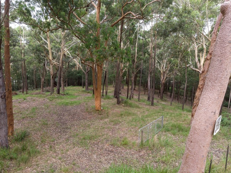 44 Marana Road, Springfield NSW 2250