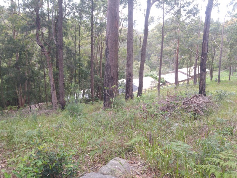 44 Marana Road, Springfield NSW 2250