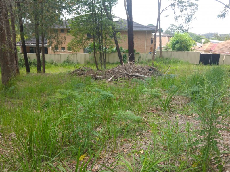 44 Marana Road, Springfield NSW 2250