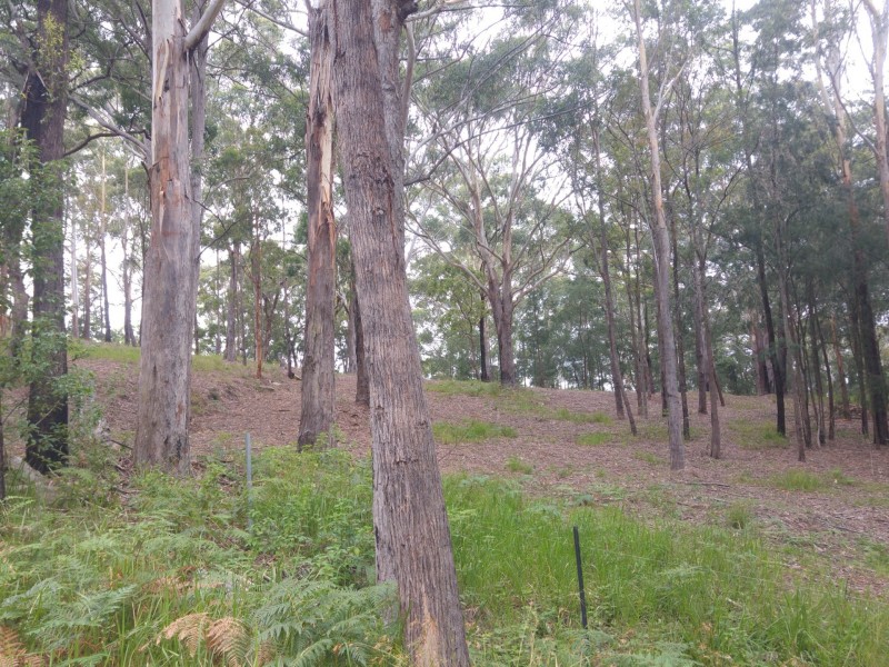 44 Marana Road, Springfield NSW 2250