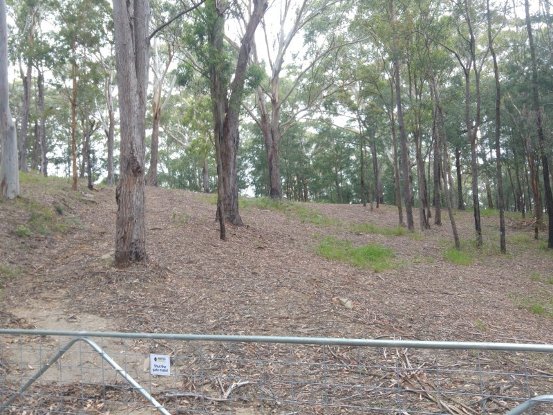 44 Marana Road, Springfield NSW 2250