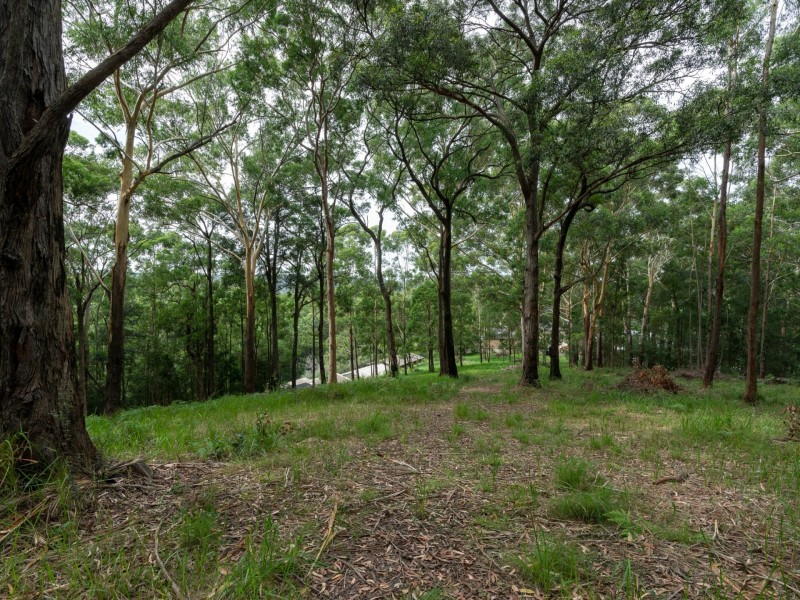 44 Marana Road, Springfield NSW 2250