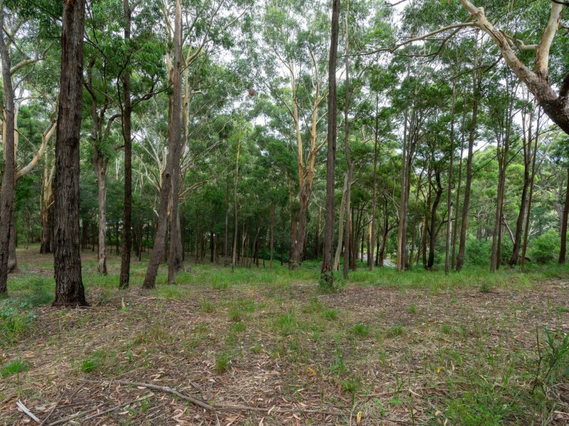 44 Marana Road, Springfield NSW 2250