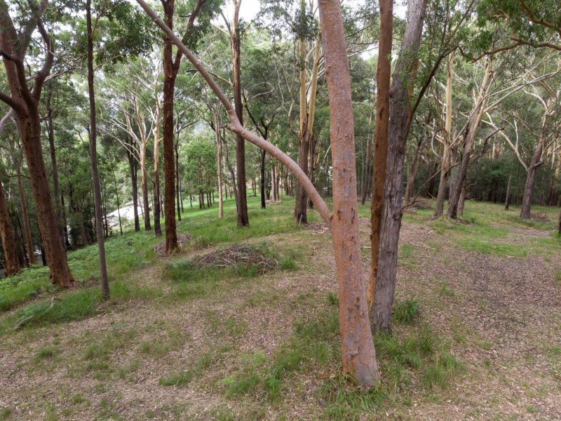 44 Marana Road, Springfield NSW 2250