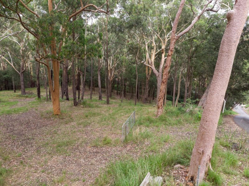 44 Marana Road, Springfield NSW 2250