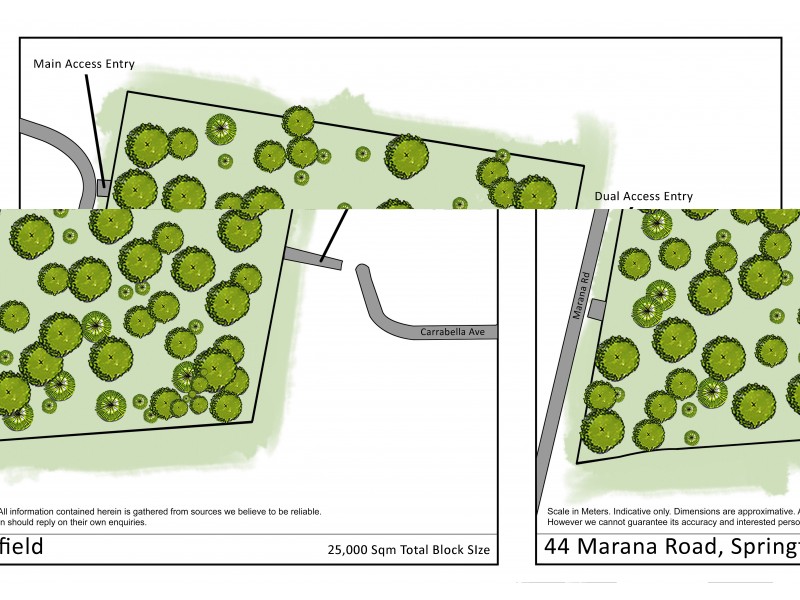44 Marana Road, Springfield NSW 2250 Floorplan