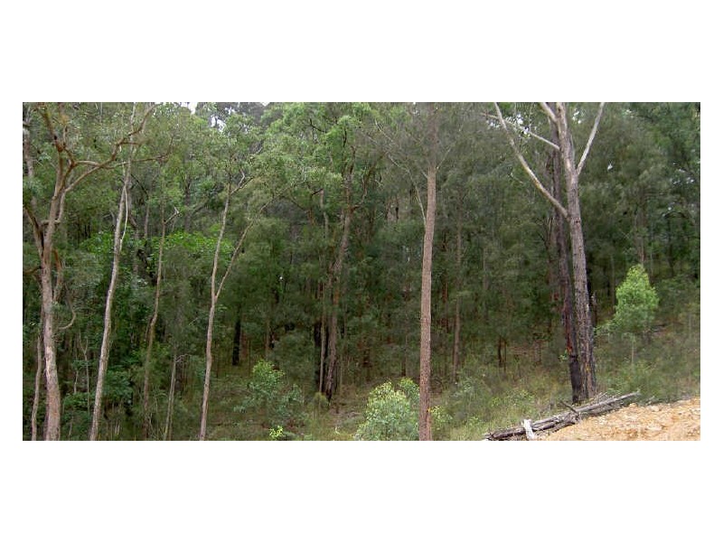 67 Marana Road, Springfield NSW 2250