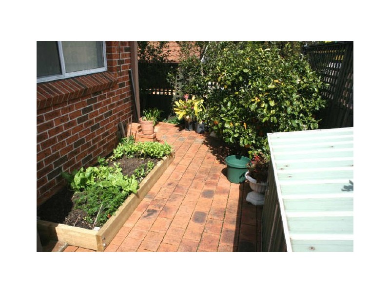 Green Point NSW 2251