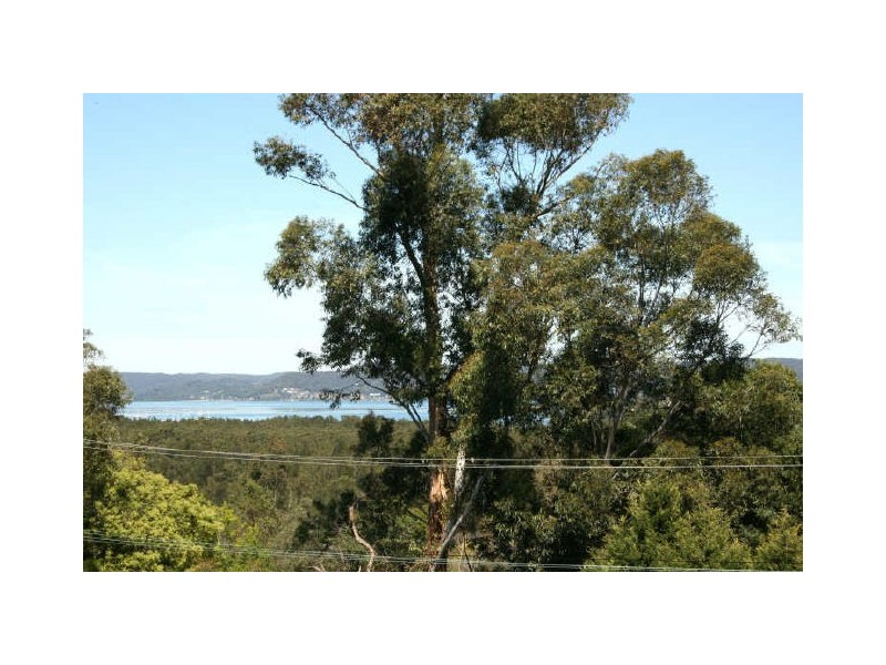 Springfield NSW 2250