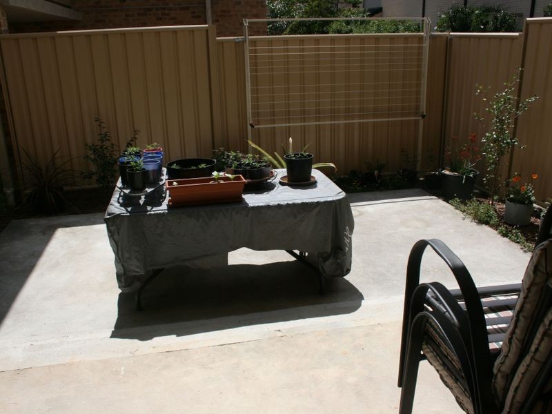 North Gosford NSW 2250