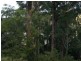 18 Bridgewater Place, Terrigal NSW 2260