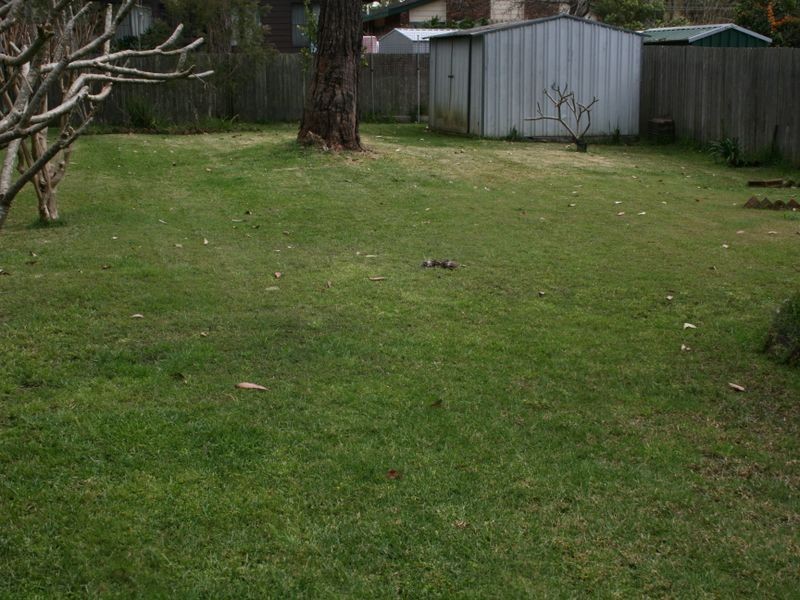 Erina NSW 2250