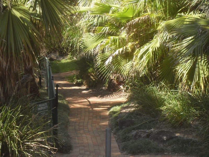 11/117 John Whiteway Drive, Gosford NSW 2250