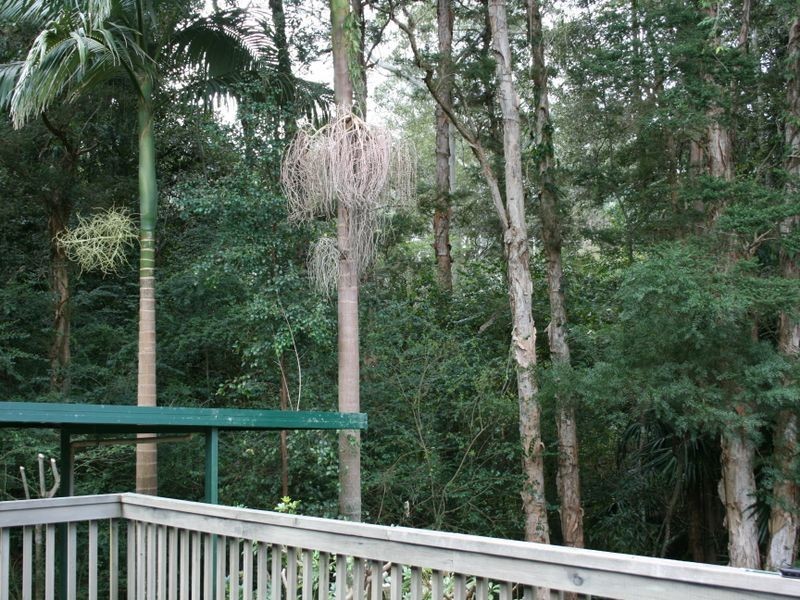 42 Digby Road, Springfield NSW 2250