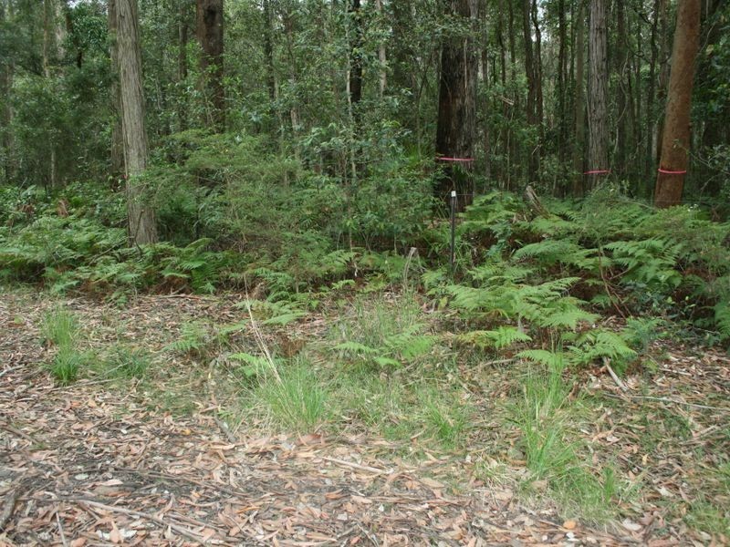 63-69 Elvys Avenue, Yattalunga NSW 2251