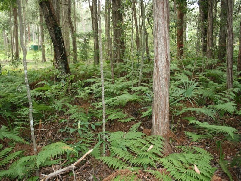 63-69 Elvys Avenue, Yattalunga NSW 2251