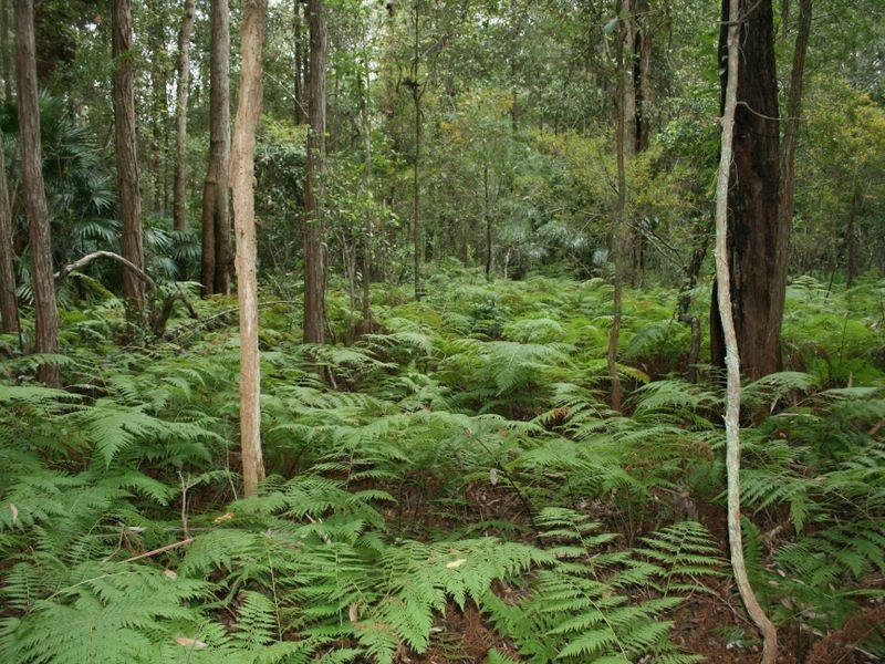 63-69 Elvys Avenue, Yattalunga NSW 2251